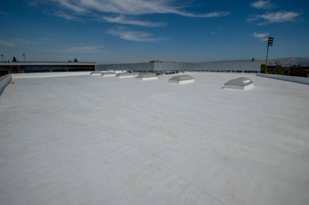 Best Roof Insulation Installation  in Oakton, VA